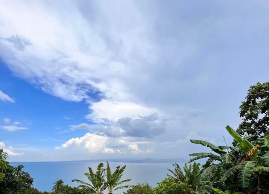 Nangkaan, Mataasnakahoy, Batangas image 2