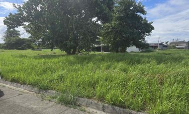 Town and Country Homes Pampanga 240sqm lot only 22k per sqm