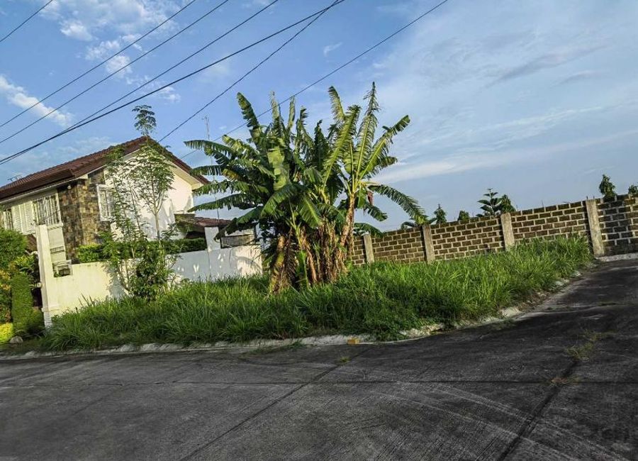 Plantacion Meridienne, Mabini, Lipa, Batangas image 2