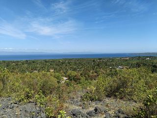 Overlooking 12,473sqm title lot for sale in Cogon Loon Bohol Price per sqm 650