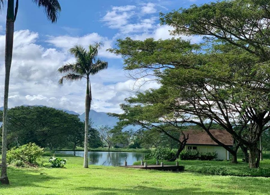 Bulakin, Tiaong, 2nd District, Quezon image 3