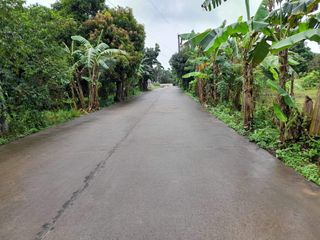 For Sale Agricultural and Livestock Farm Lot
