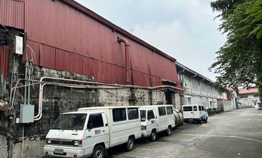 Wide frontage:  C. Raymundo Commercial Lot for Sale