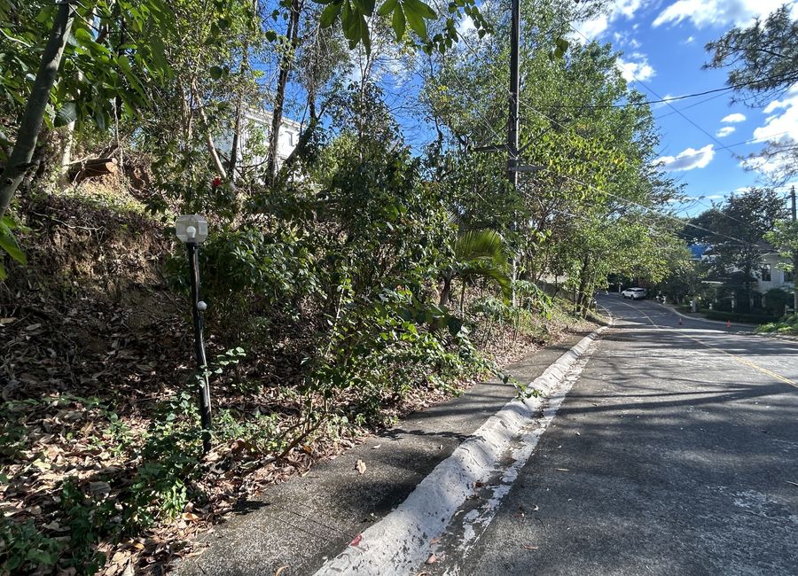 Parkridge Drive, Park Ridge, Santa Cruz, Antipolo, Rizal image 2