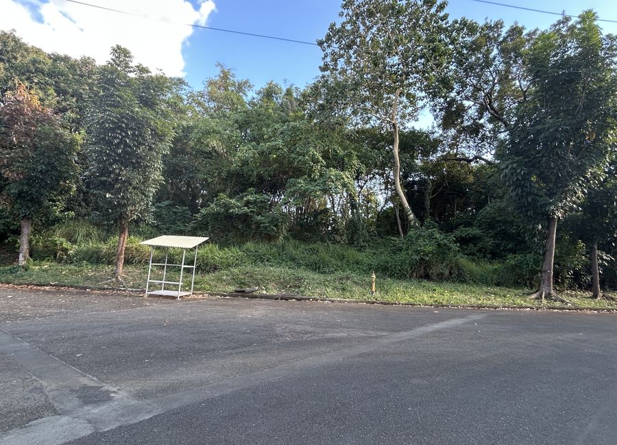 San Roque, Antipolo, Rizal image 2