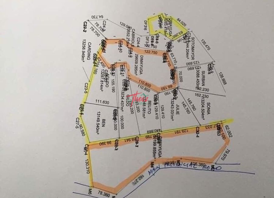Nagcarlan-Calumpang Road, Calumpang, Liliw, Laguna image 2
