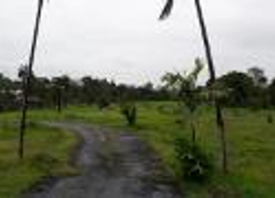 Lamot 2, Calauan, Laguna