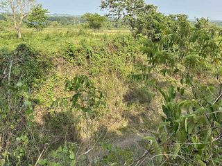 13,436 sqm Agricultural Lot for Sale Located in Puerto Princesa City, Palawan