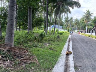 Beachfront Residential Lot in Maluay, Zamboanguita ID 14994