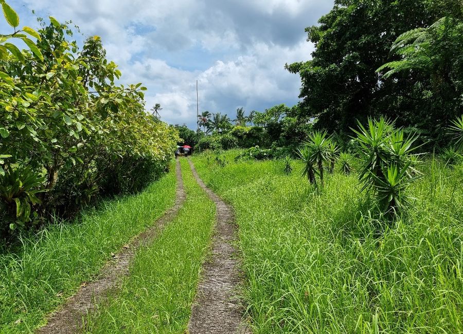 Countryside Ville, Ayuti, Palola, Lucban, Quezon image 2