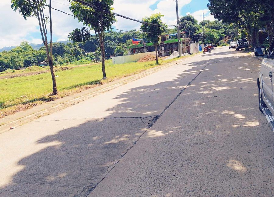 Zamora Street, Guitnang Bayan I, San Mateo, Rizal image 2