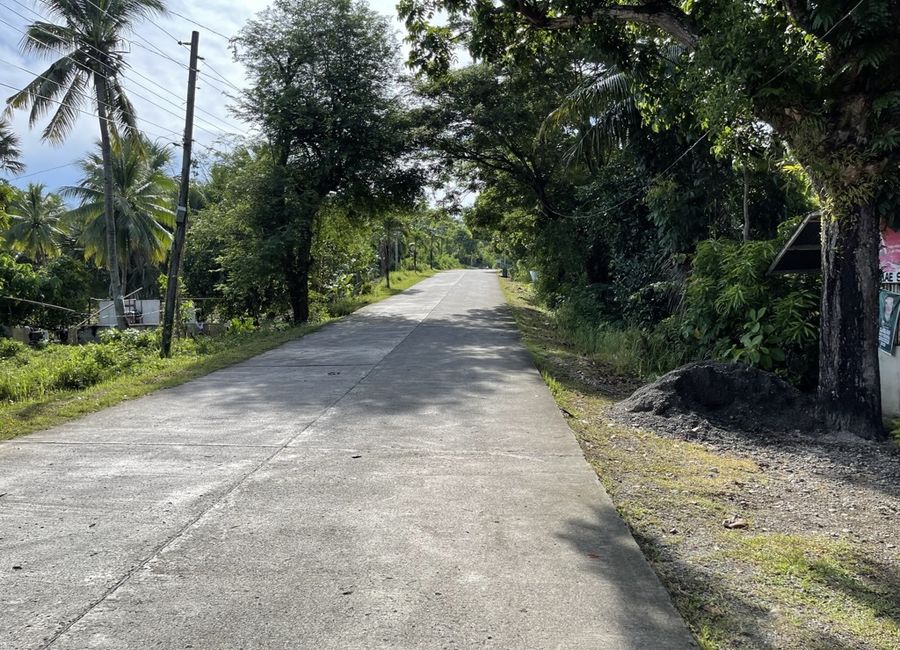 place photo 14