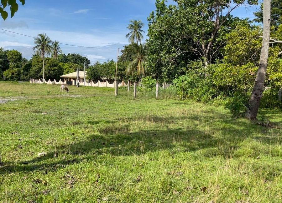 place photo 21