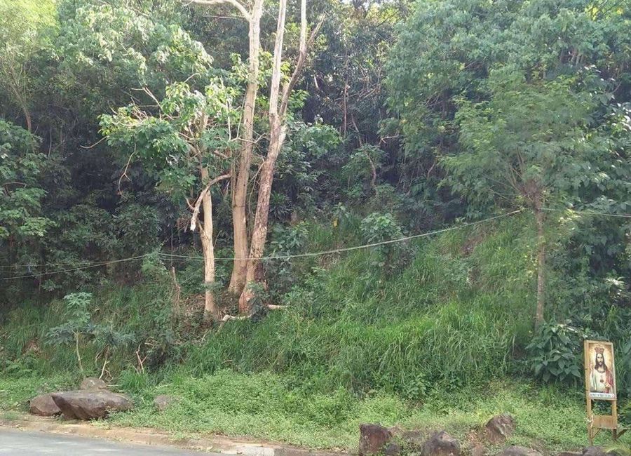 Parkridge Drive, Park Ridge, Dela Paz, Antipolo, Rizal