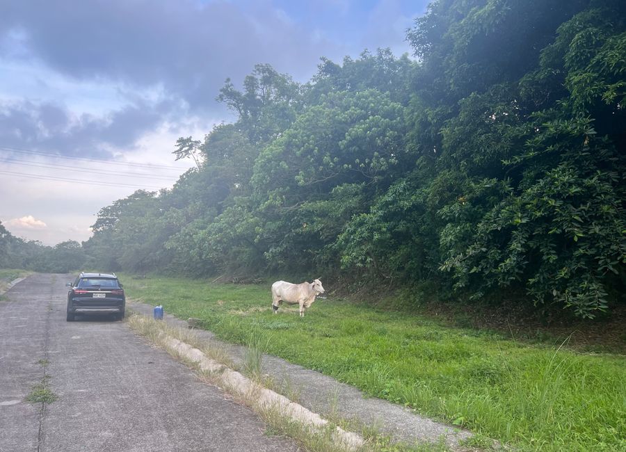 Diokno Highway, Tamayo, Calaca, Batangas image 2