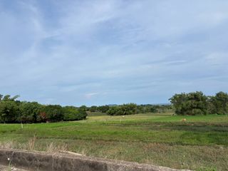 Farm Lot with Studio House For Sale  ID 14995