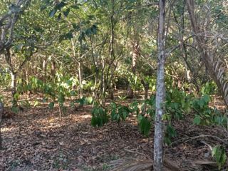 LOT for SALE in Bgy. Taywanak, Alfonso Cavite! 5,000 sqm at P2,500 per sqm