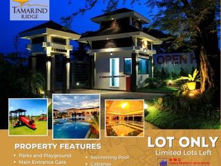 LOT FOR SALE @ ORANI BATAAN