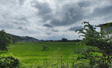 Residential/Farm/Industrial Lot for Sale in Binangonan Rizal.