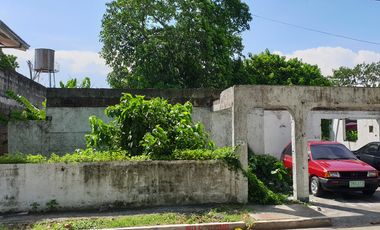 Lot for Sale in Tahanan Village Walking Distance to Supermarkets Banks Resto