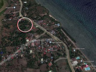 For Sale: Agricultural Lot 15,765sqm Sogod, Cebu