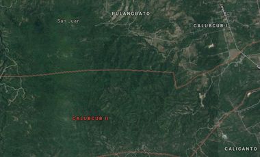 82.5 Hectares Land for Sale in San Juan, Batangas