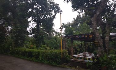 4.7 Hectares Land for Sale in Barangay Upli, Alfonso, Cavite