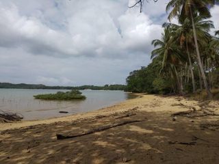 Beach Lot for Sale and Overlooking At San Vicente Palawan
