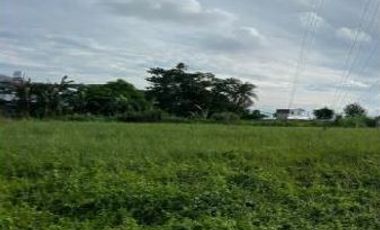 FOR SALE - COMMERCIAL LOT in CEBU
