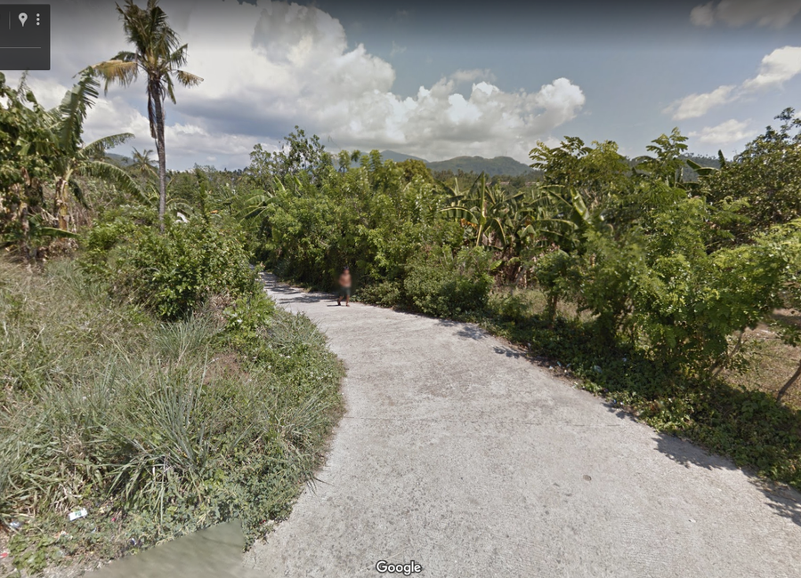 Alaminos Heights, 3, Alaminos, Laguna