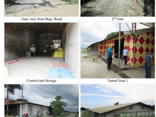 Almost 2-Hectare Poultry Farm Lot for sale in Capulaan, Villasis, Pangasinan