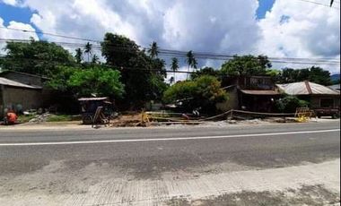 30,000 sqm Farm Lot with Clean Title for Sale in Calauan, Laguna