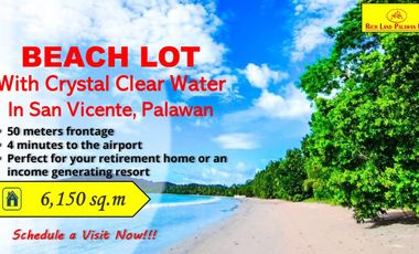 Land For Sale Spectacular Beach of San vicente Palawan