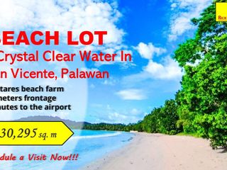 249 meter Long Beach Lot in San Vicente, Palawan