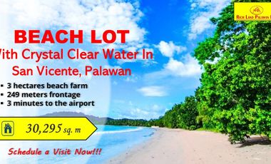 249 meter Long Beach Lot in San Vicente, Palawan