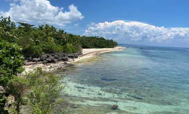 BEACHFRONT PROPERTY IN SAN REMEGIO, CEBU