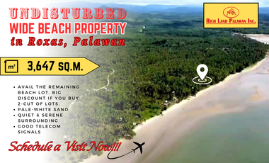 Undeveloped Beachfront Property for Sale in Roxas, Palawan