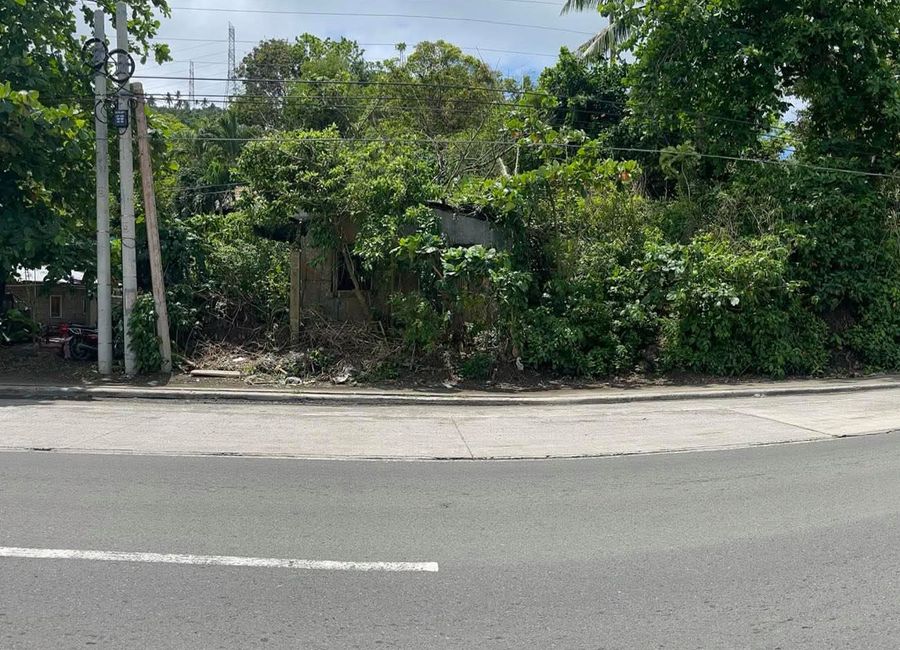 Santa Catalina Sur, Candelaria, 2nd District, Quezon image 2