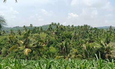 3.5 hectares of land for sale in Balungag San Fernando