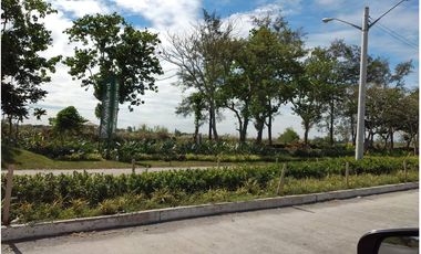 Hacienda Luisita Tarlac Lot, 2.64 Hectares for sale