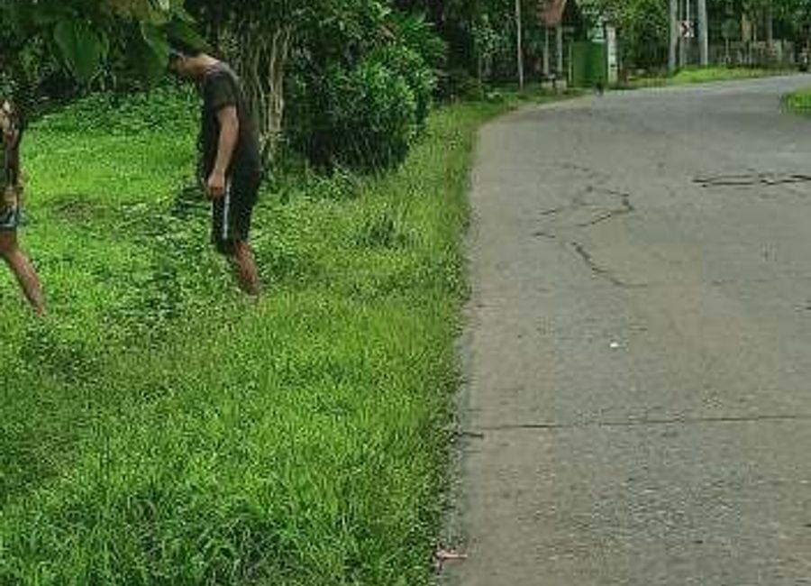 Alipit, Magdalena, Laguna image 2