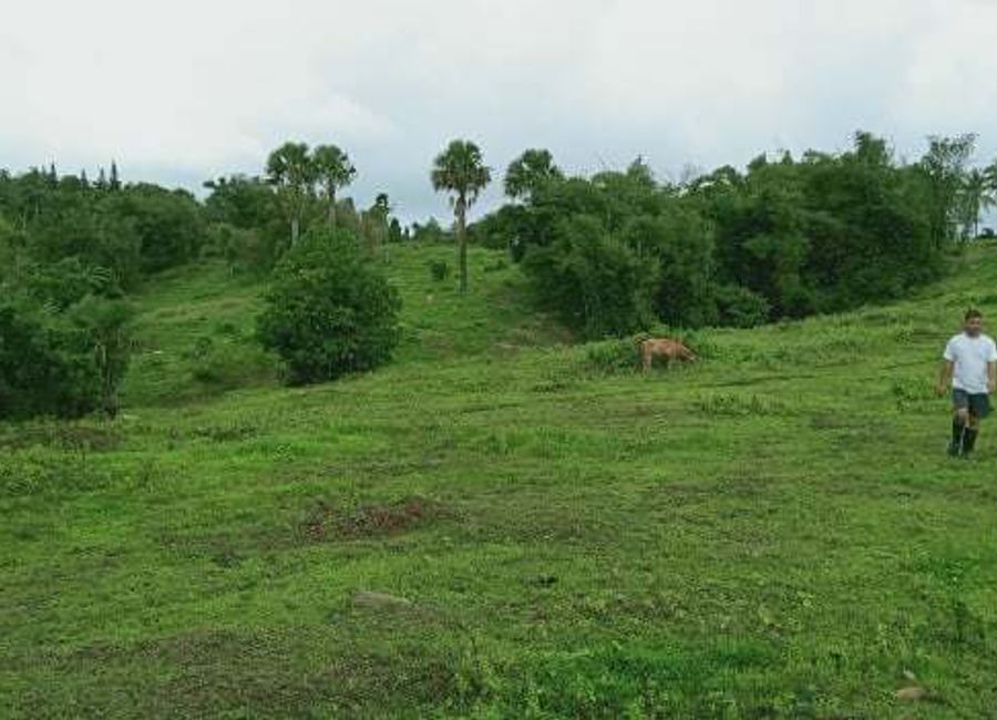 Alipit, Magdalena, Laguna