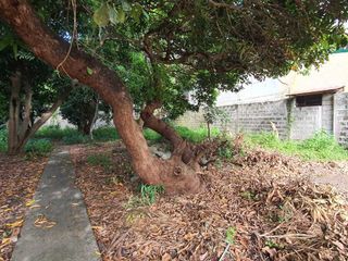 2,649 sq.m Vacant Lot in BF Resort, Las Pinas For Sale