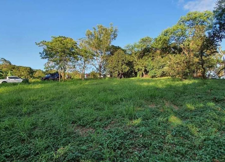 Don Celso Tuason Avenue, Town & Country Estates, Mambugan, Antipolo, Rizal image 2