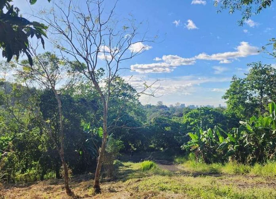 Don Celso Tuason Avenue, Town & Country Estates, Mambugan, Antipolo, Rizal