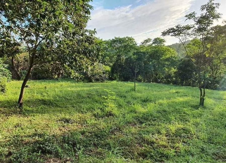 Don Celso Tuason Avenue, Town & Country Estates, Mambugan, Antipolo, Rizal image 3