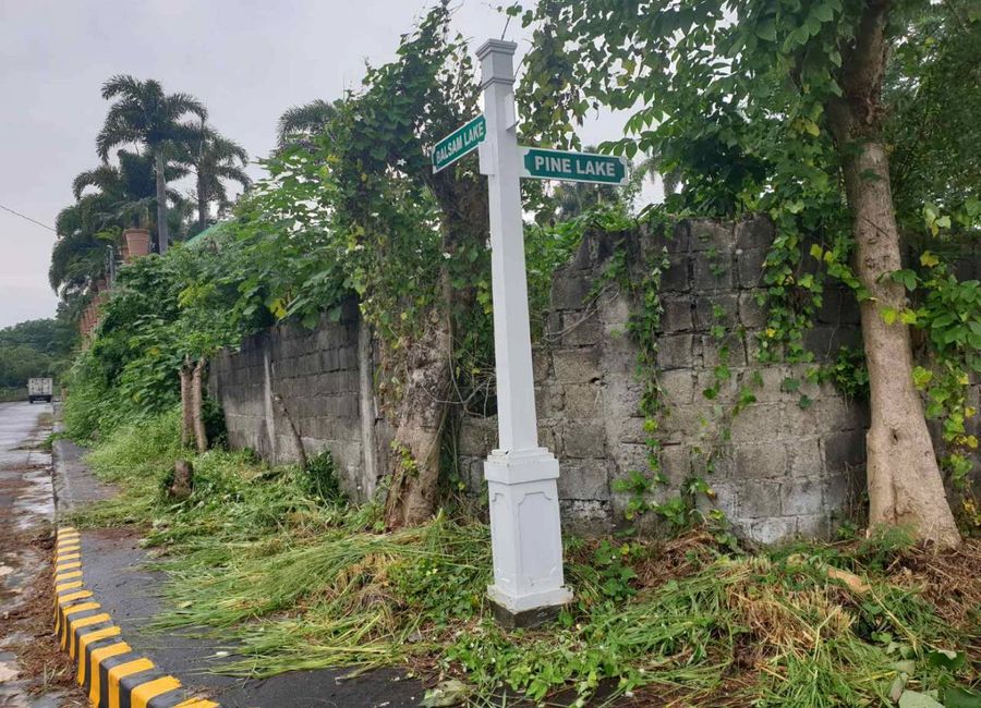 Jamboree Road, Timugan, Los Baños, Laguna