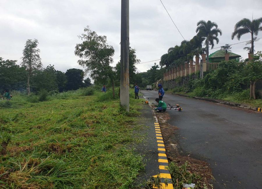 Jamboree Road, Timugan, Los Baños, Laguna image 3