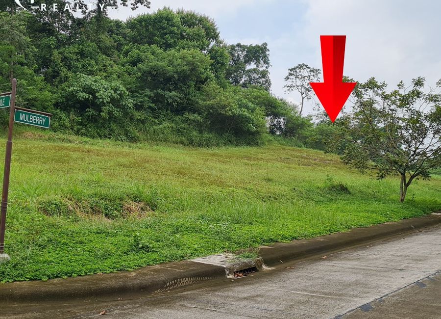 Crane Road, Monteverde Royale 4, Muzon, Taytay, Rizal