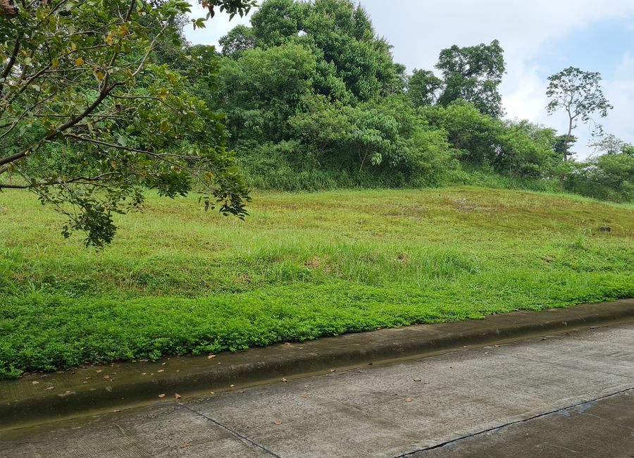 Crane Road, Monteverde Royale 4, Muzon, Taytay, Rizal image 2